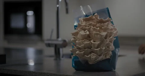 Fully developed Oyster Mushroom placed on kitchen counter Stock Footage 240795448
