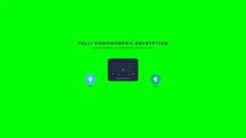Fully Homomorphic Encryption Fhe Data Privacy Flow and Secure Cloud Computa.. 스톡 동영상 347627304