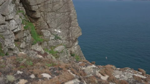 Fulmar flying and hovering next to cliffs on Hirta, St Kilda Stock Footage 229472552