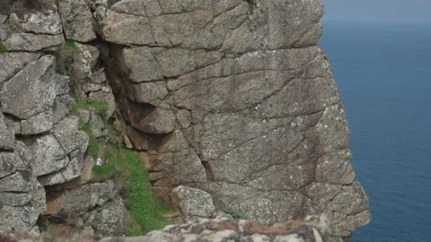 Fulmar hovering and swooping at the cliffs on Hirta, St Kilda Stock Footage 229474313
