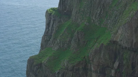 Fulmars fly against a backdrop of high cliffs and sea views on Hirta, St Kilda Stock Footage 229475667