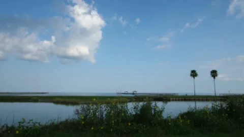 Fulton Tx 16 sec drive palm trees wild flowers 4k Video stock 140473370