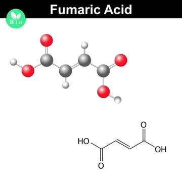 Fumaric acid molecule Stock Illustration