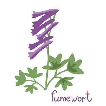 Fumewort vector illustration Illustrazione stock