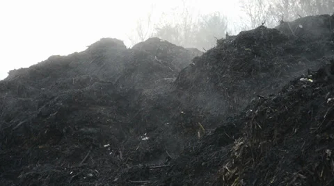 Fuming compost heap Stock Footage 33643882