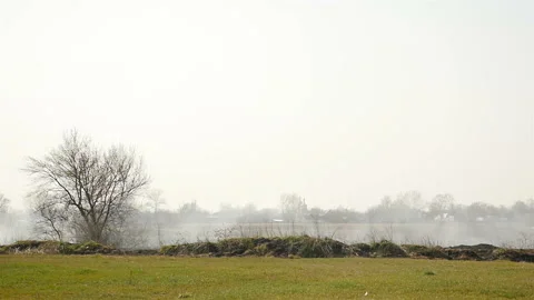 Fuming grass in the field. Air pollution. Ecological catastrophy Video stock 135448725