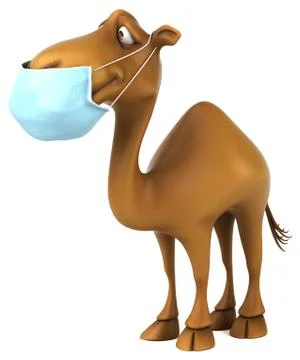 Fun 3D camel with a mask Stock Illustration