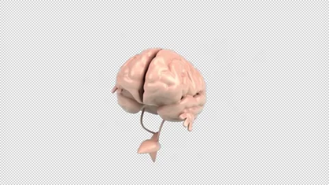 Philosophy Dancing Stock Videos – Royalty-Free HD & 4K Videos | Pond5
