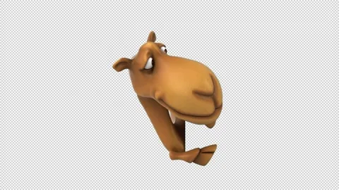 Camel Cartoon Stock Footage ~ Royalty Free Stock Videos | Pond5