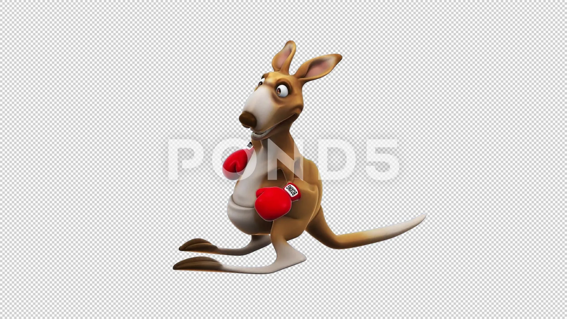Kangaroo cartoon animal Royalty Free Vector Image