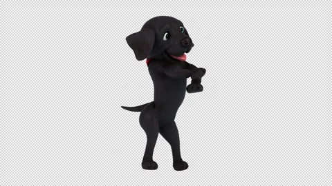 Fun 3D cartoon labrador doing a fit dance (with alpha channel) Stock Footage 345566825