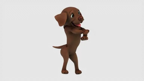 Fun 3D cartoon labrador doing a fit dance (with alpha channel) Stock Footage 345566882