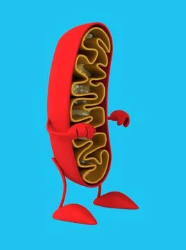 Fun 3D cartoon mitochondria (with alpha channel) Stockillustratie