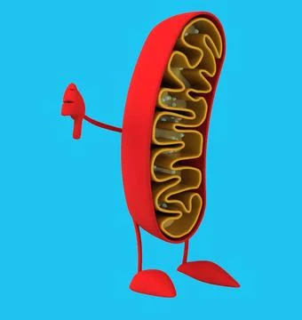 Fun 3D cartoon mitochondria (with alpha channel) Ilustración de archivo