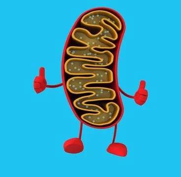 Fun 3D cartoon mitochondria (with alpha channel) Stock Illustration