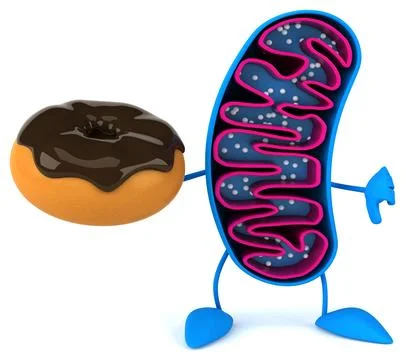 Fun 3D cartoon mitochondria character 스톡 일러스트