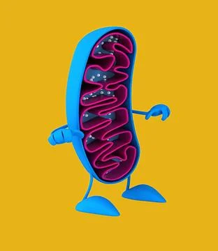 Fun 3D cartoon mitochondria Stock Illustration