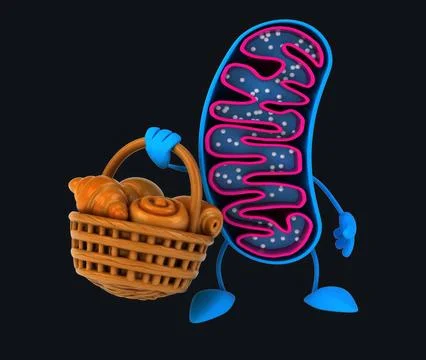 Fun 3D cartoon mitochondria with pastries Stock Illustration
