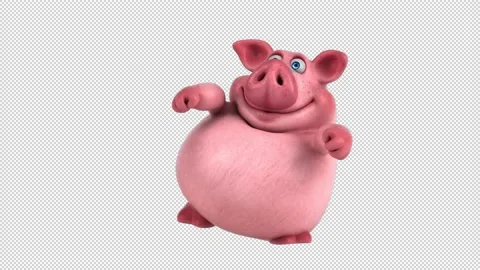 Piggy 360 VR Video 