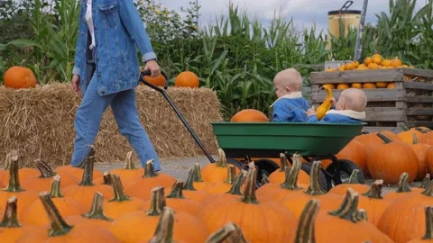 Fun and educational day at pumpkin patch. Mom carrying her baby twins in a cart Stock Footage 139125446
