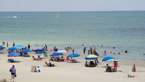 Fun at the beach Video stock 111823619