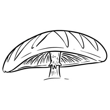 Fun Cartoon Mushroom Toadstool Character Vector Illustration 스톡 일러스트