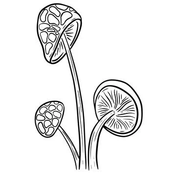 Fun Cartoon Mushroom Toadstool Character Vector Illustration 스톡 일러스트