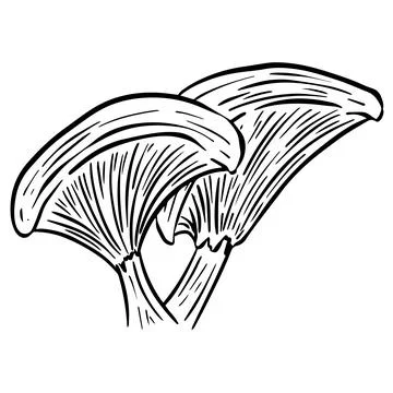 Fun Cartoon Mushroom Toadstool Character Vector Illustration 스톡 일러스트