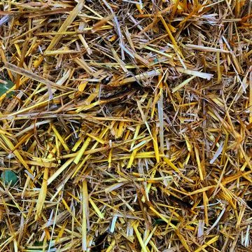 Fun Close up of straw background texture Stock Photos