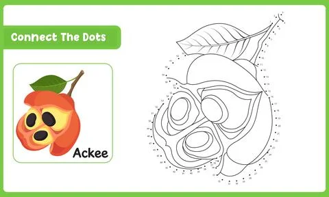 Fun counting challenge with ackee dot to dot puzzle and school education wo.. Stockillustratie