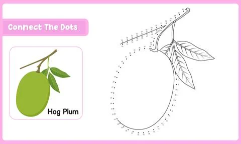 Fun counting challenge with hog plum dot to dot puzzle and school education.. Stockillustratie