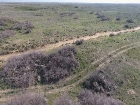 Fun Cruiser rides through the desert and along the steppe race of the rally Stock Footage 74579083