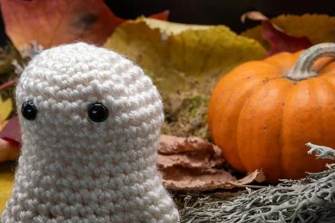 Fun Cute Spooky Ghost Pumpkin Halloween Autumn Leaves-24 Stock Photos
