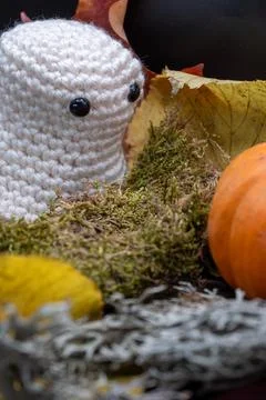 Fun Cute Spooky Ghost Pumpkin Halloween Autumn Leaves-21 Stock Photos