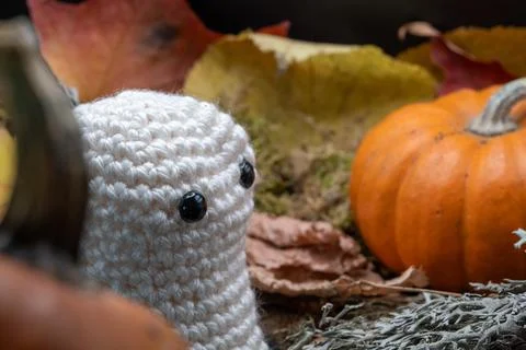 Fun Cute Spooky Ghost Pumpkin Halloween Autumn Leaves-25 Stock Photos