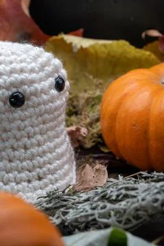 Fun Cute Spooky Ghost Pumpkin Halloween Autumn Leaves-26 Stock Photos