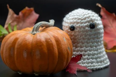 Fun Cute Spooky Ghost Pumpkin Halloween Autumn Leaves-01 Stock Photos