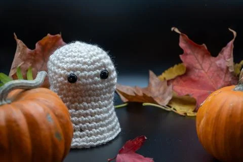 Fun Cute Spooky Ghost Pumpkin Halloween Autumn Leaves-03 Stock Photos