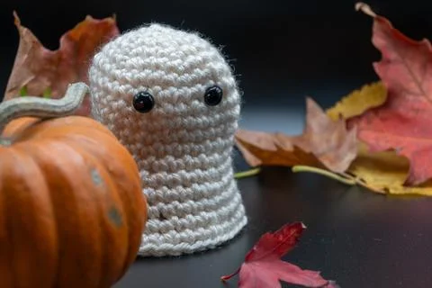 Fun Cute Spooky Ghost Pumpkin Halloween Autumn Leaves-02 Stock Photos