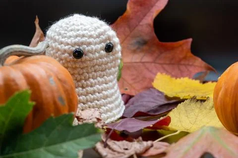 Fun Cute Spooky Ghost Pumpkin Halloween Autumn Leaves-04 Stock Photos