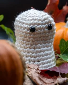 Fun Cute Spooky Ghost Pumpkin Halloween Autumn Leaves-07 Stock Photos