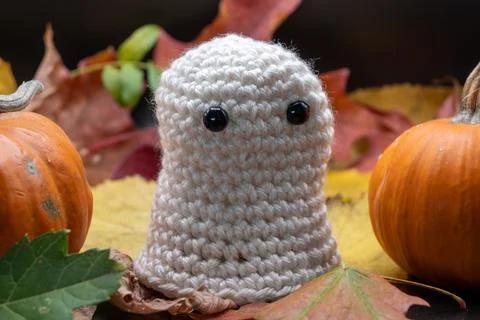 Fun Cute Spooky Ghost Pumpkin Halloween Autumn Leaves-05 Stock Photos