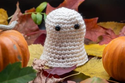 Fun Cute Spooky Ghost Pumpkin Halloween Autumn Leaves-06 Stock Photos