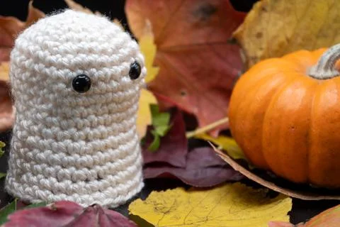 Fun Cute Spooky Ghost Pumpkin Halloween Autumn Leaves-08 Stock Photos