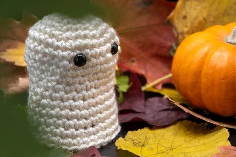 Fun Cute Spooky Ghost Pumpkin Halloween Autumn Leaves-09 Stock Photos