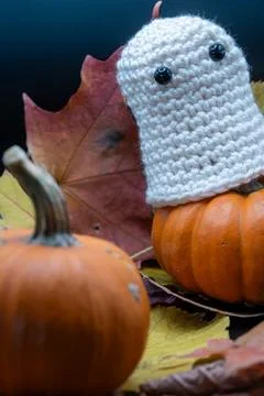 Fun Cute Spooky Ghost Pumpkin Halloween Autumn Leaves-10 Stock Photos