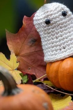 Fun Cute Spooky Ghost Pumpkin Halloween Autumn Leaves-11 Stock Photos