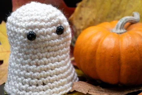 Fun Cute Spooky Ghost Pumpkin Halloween Autumn Leaves-12 Stock Photos