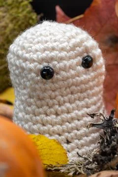 Fun Cute Spooky Ghost Pumpkin Halloween Autumn Leaves-15 Stock Photos