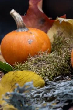 Fun Cute Spooky Ghost Pumpkin Halloween Autumn Leaves-19 Stock Photos